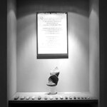 Museo CentroStudi